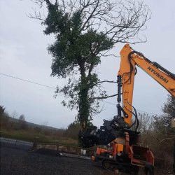 Intermercato Tigergrip Tr�klipper