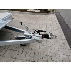 Variant Beavertail 2716 B3