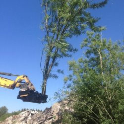 Intermercato Tigergrip Tigercut Trklipper