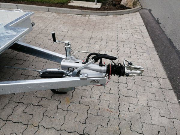 Variant Beavertail 3516 B3