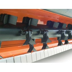 Ortolan T20, 140 cm.