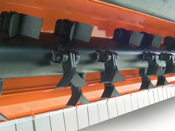 Ortolan T20, 140 cm.