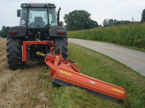 Ortolan T80/T85, 160 cm.